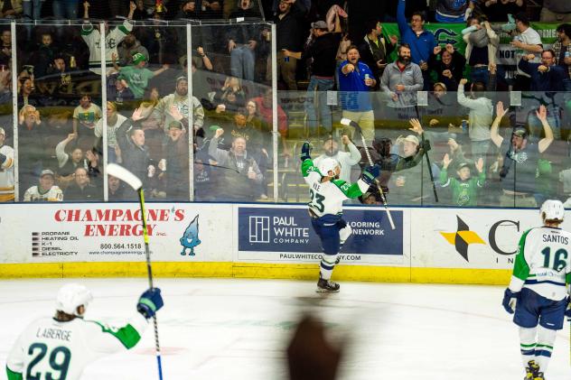 Maine Mariners celebrate a goal in front of the home crowd