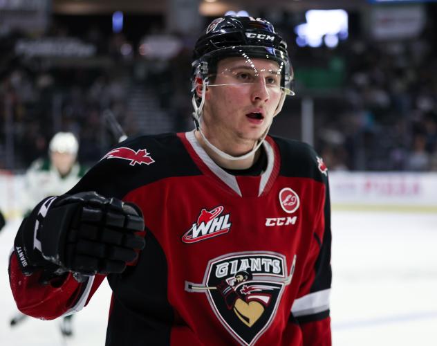 Vancouver Giants left wing Adam Hall