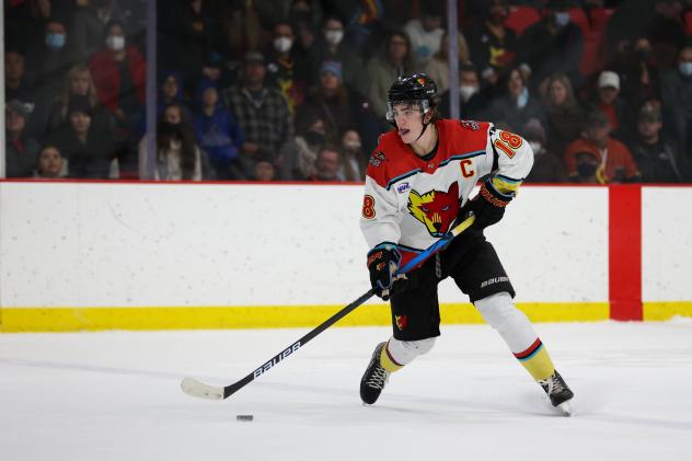 New Mexico Ice Wolves forward Dillan Bentley