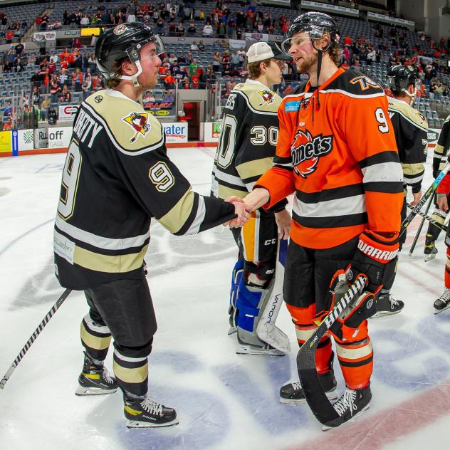 Wheeling Nailers and Fort Wayne Komets shake hands following Wheeling's Game Seven win