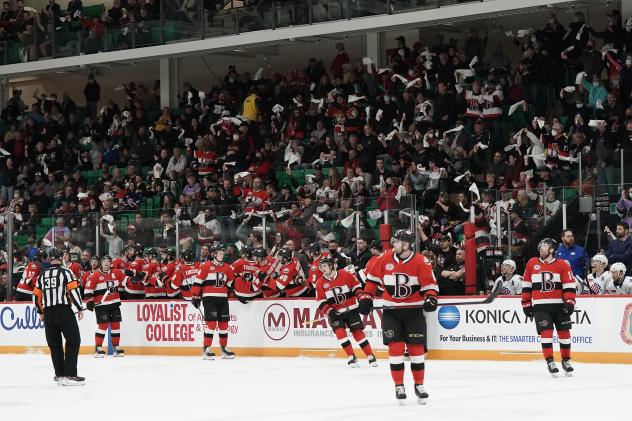 Belleville Senators fans salute their team