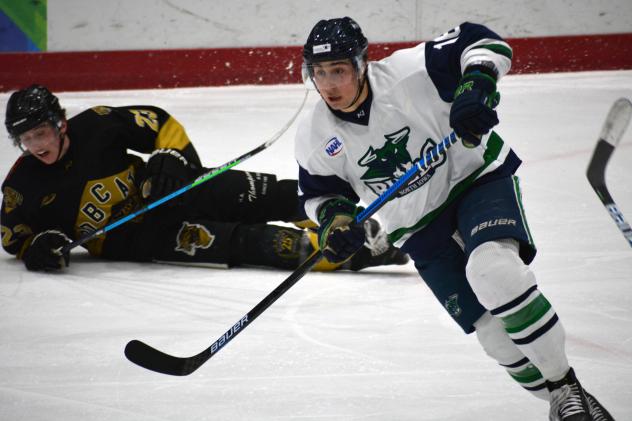 North Iowa Bulls forward Brett Morich