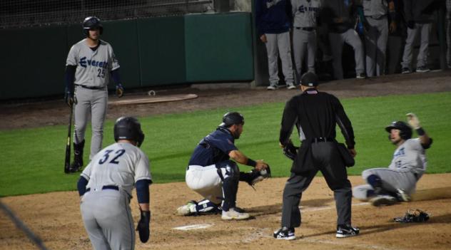 Tri-City Dust Devils prepare to apply a tag at the plate vs. the Everett AquaSox