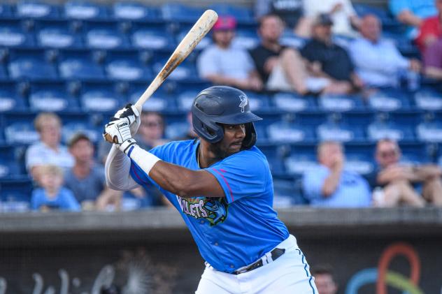 Jerar Encarnacion of the Pensacola Blue Wahoos