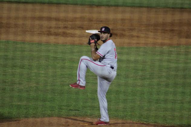 New Jersey Jackals pitcher Juan Perez