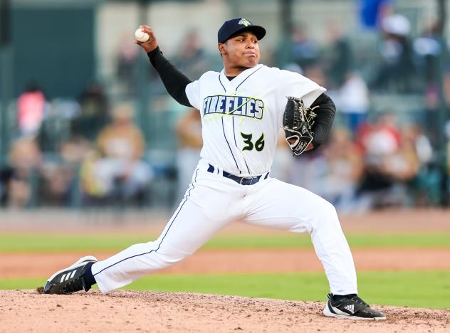 Columbia Fireflies pitcher Heribert Garcia