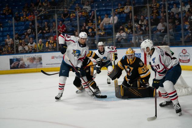 Springfield Thunderbirds look for a shot against the Wilkes-Barre/Scranton Penguins