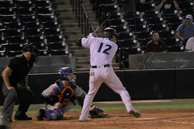 Tampa Tarpons center fielder Jasson Dominguez
