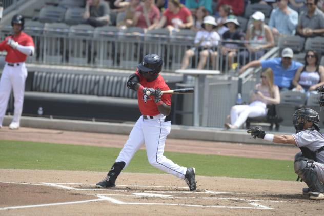 Fayetteville Woodpeckers at the plate