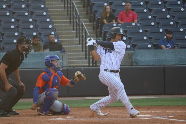 Tampa Tarpons outfielder Jasson Dominguez