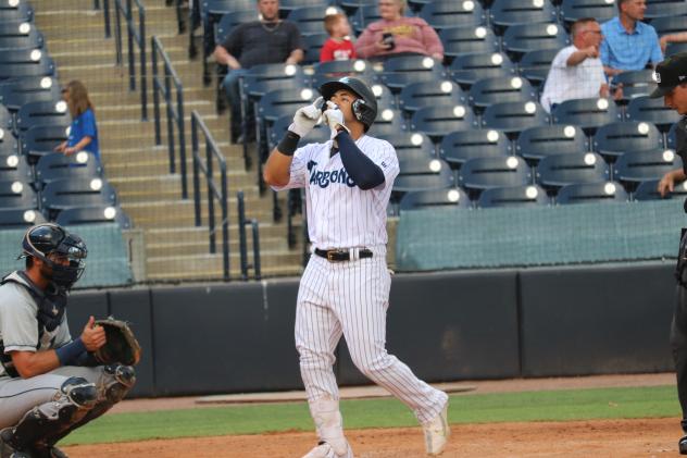 Tampa Tarpons center fielder Jasson Dominguez