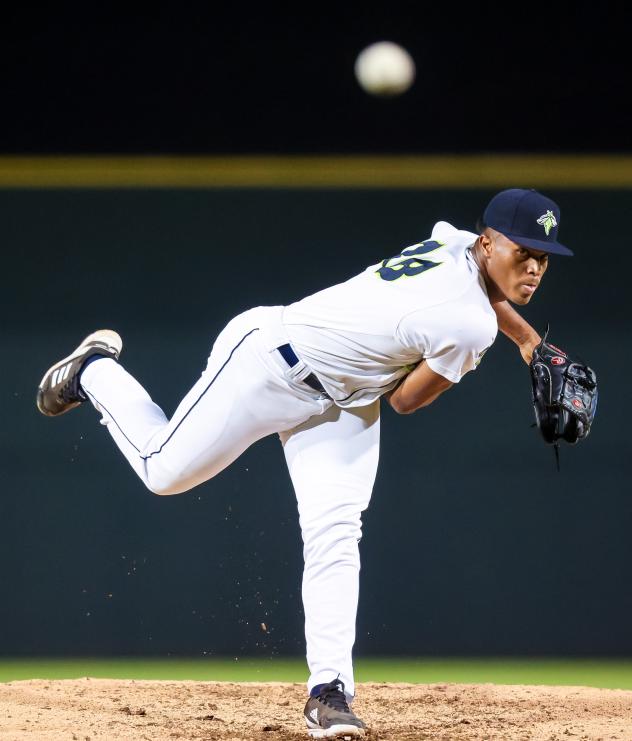 Columbia Fireflies pitcher Wander Arias