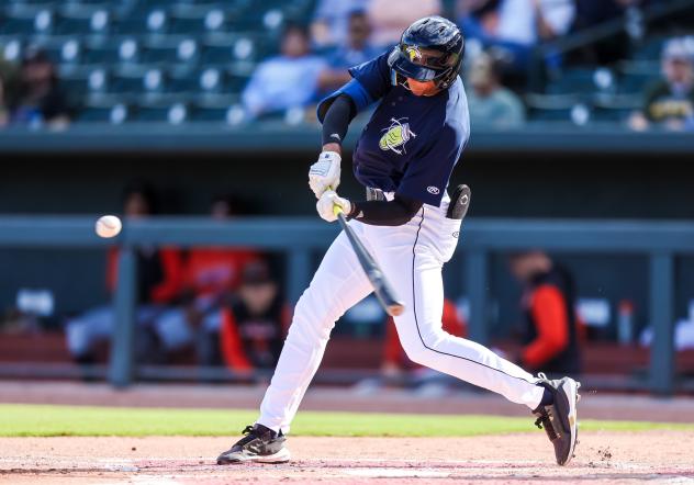 Erick Peña of the Columbia Fireflies