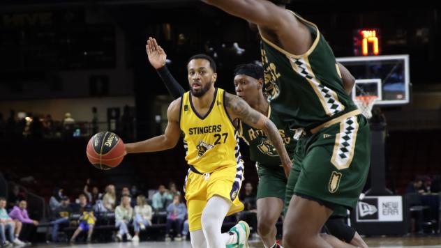 Edmonton Stingers vs. the Saskatchewan Rattlers