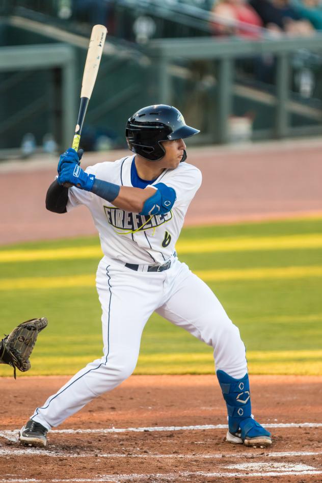 Omar Hernandez at bat for the Columbia Fireflies