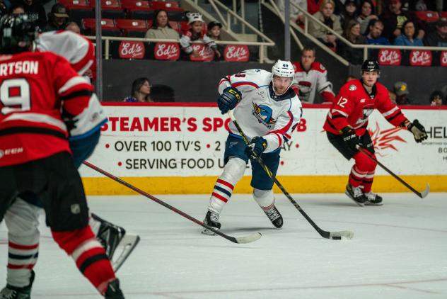 Springfield Thunderbirds defenseman Calle Rosen