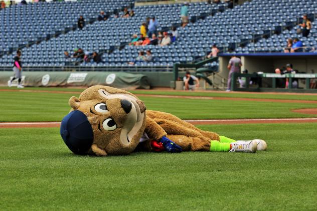 Gwinnett Stripers mascot Chopper takes a rest