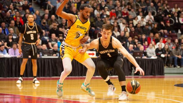 Edmonton Stingers defend against the Newfoundland Growlers