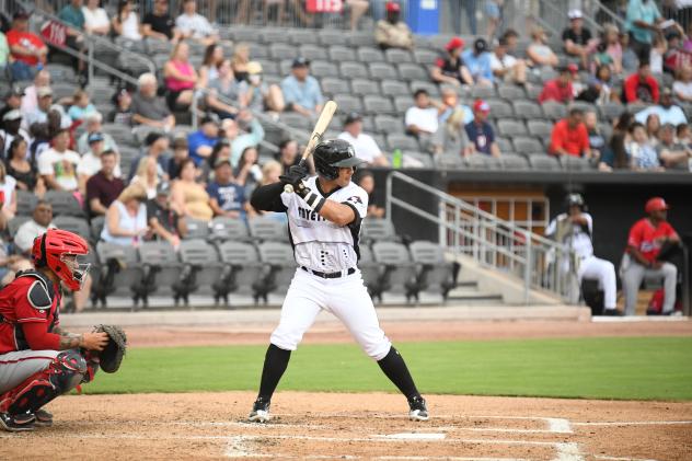 Miguel Palma of the Fayetteville Woodpeckers
