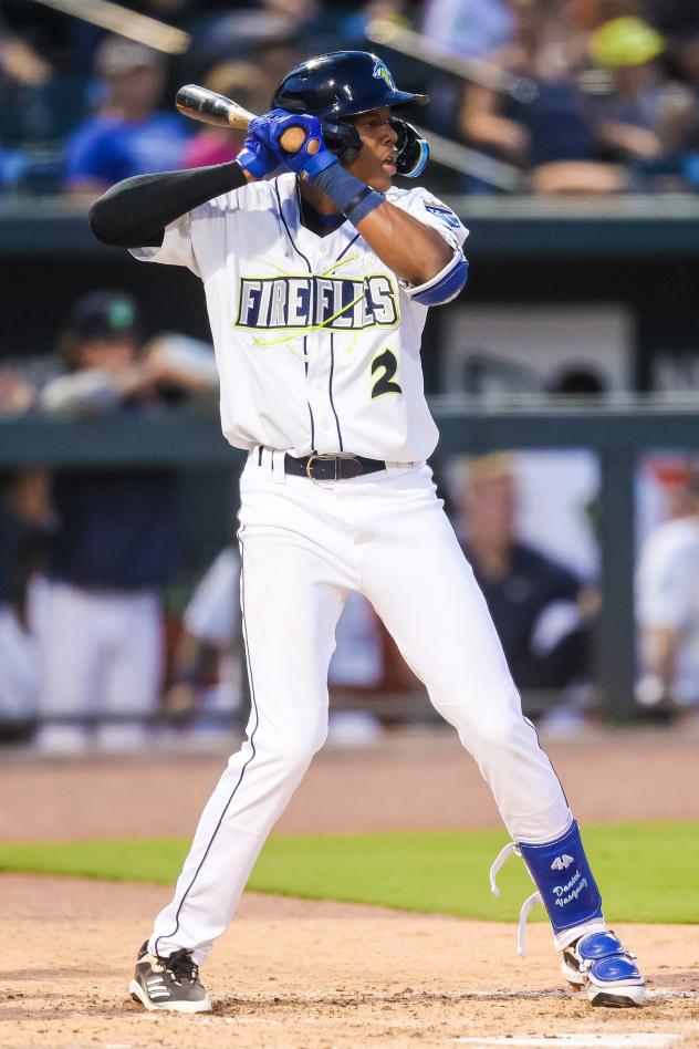 Daniel Vazquez at bat for the Columbia Fireflies