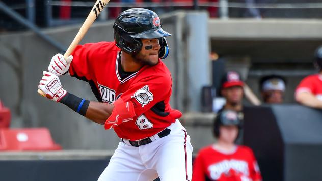 Carolina Mudcats outfielder Jackson Chourio