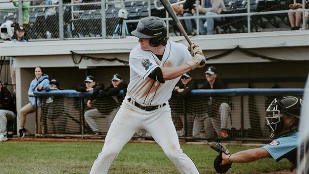 Fond du Lac Dock Spiders at the plate