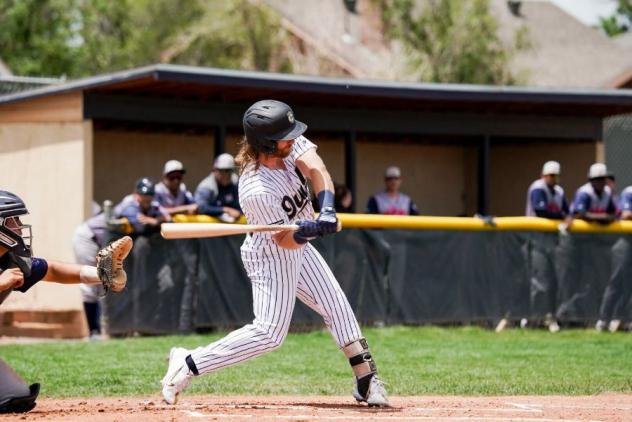 Northern Colorado Owlz at the plate