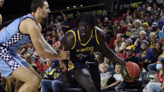 Edmonton Stingers drive against the Montreal Alliance