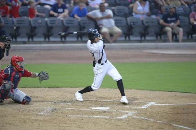 Justin Williams at bat for the Fayetteville Woodpeckers