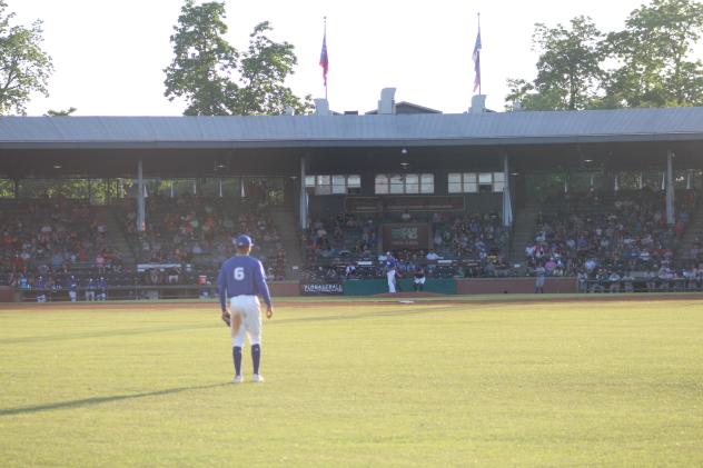 Evansville Otters outfielder Miles Gordon