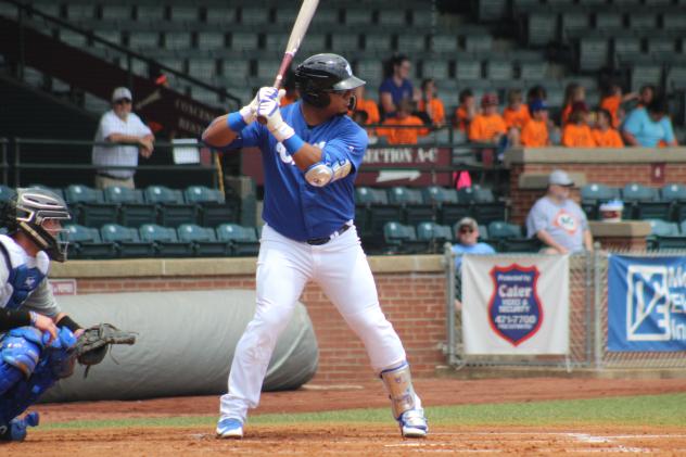 Evansville Otters at bat