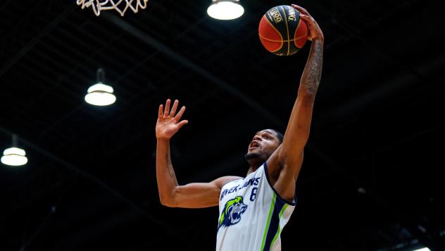 Niagara River Lions vs. the Montreal Alliance