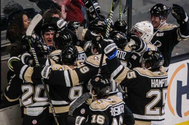 Wheeling Nailers celebrate along the boards