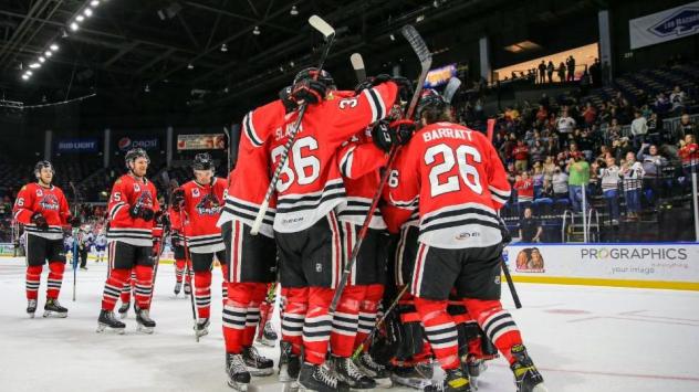 Rockford IceHogs celebrate a goal