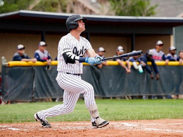 Northern Colorado Owlz at the plate