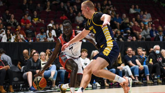 Ottawa BlackJacks battle the Edmonton Stingers