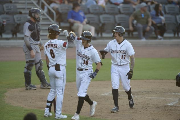 Fayetteville Woodpeckers head to the dugout after a home run