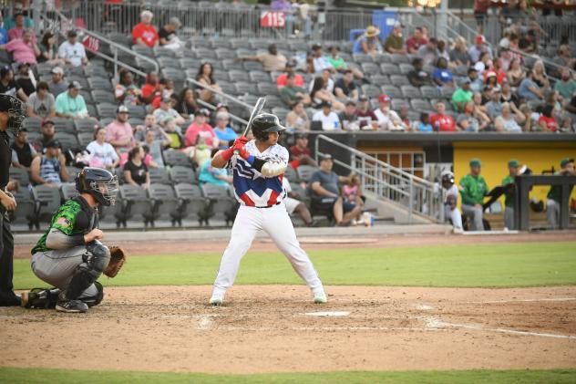 Fayetteville Woodpeckers catcher Miguel Palma