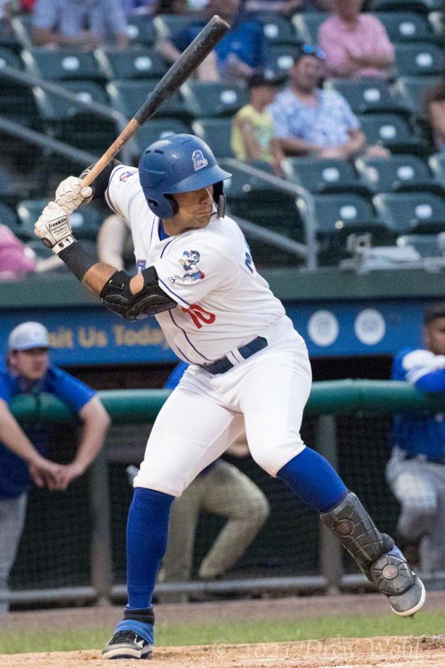 Gian Martellini at bat for the New York Boulders