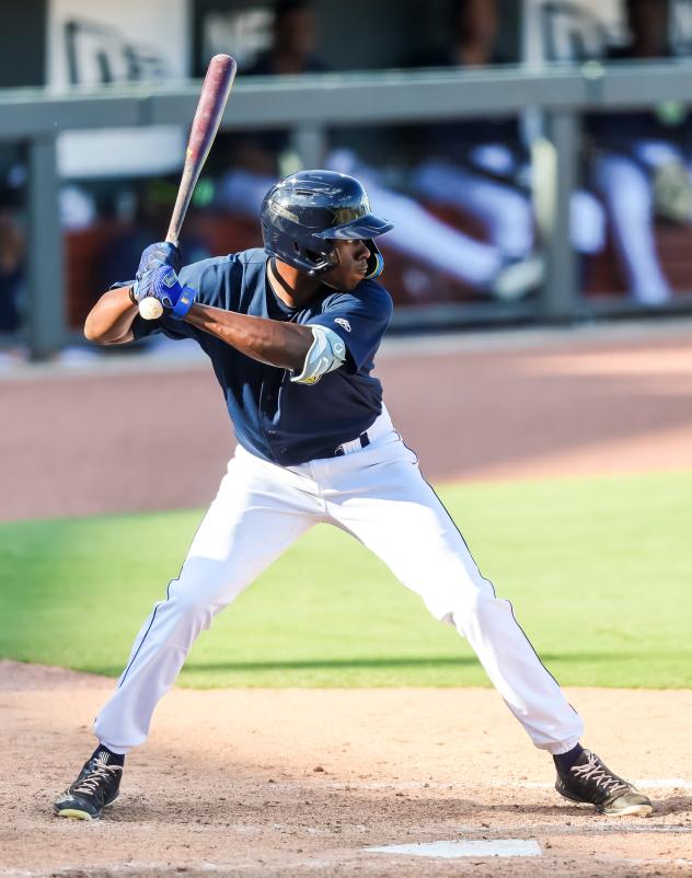 David Hollie at bat for the Columbia Fireflies