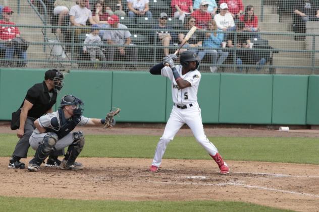 Tri-City Dust Devils infielder Osmy Gregorio