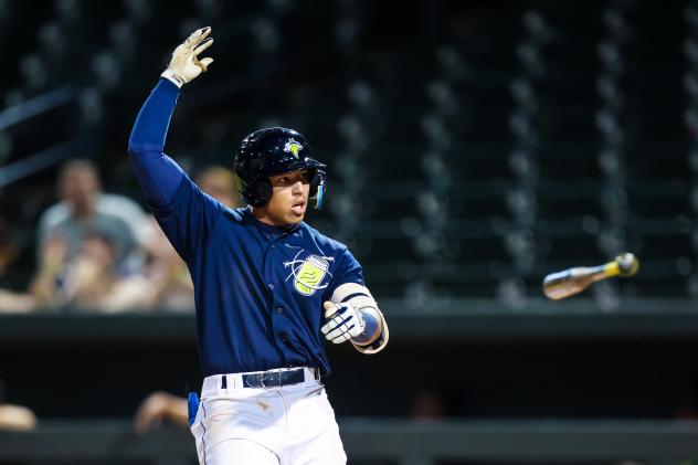 Columbia Fireflies' Omar Hernandez hits second walk-off single