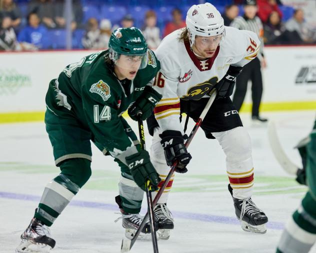 Vancouver Giants right wing Justin Lies (right) vs. the Everett Silvertips