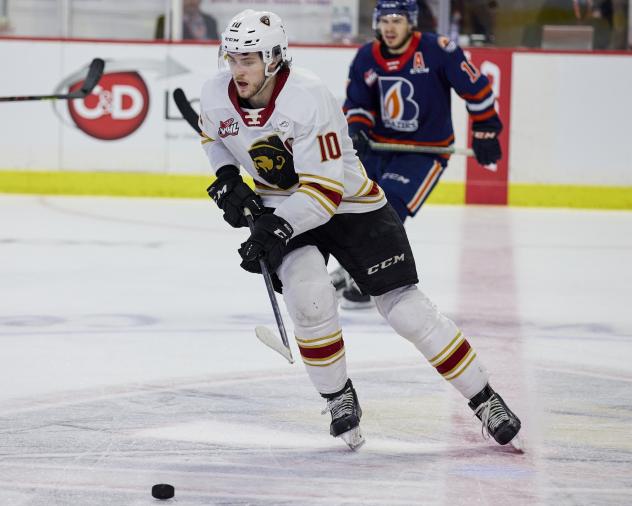 Vancouver Giants left wing Zack Ostapchuk