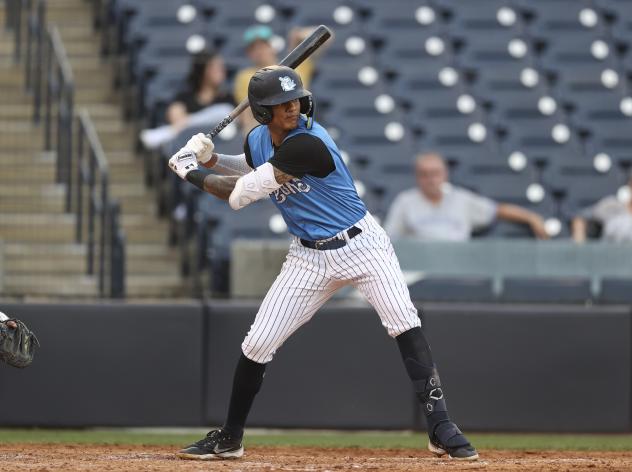 Tampa Tarpons at bat