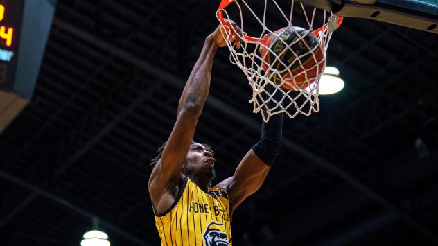 Hamilton Honey Badgers dunk against the Montreal Alliance