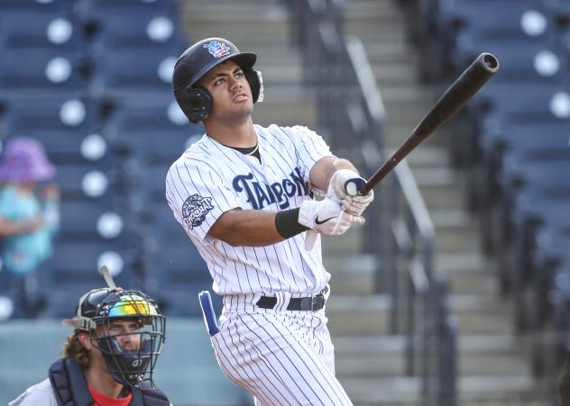 Tampa Tarpons' Jasson Dominguez delivers lead-off  home run
