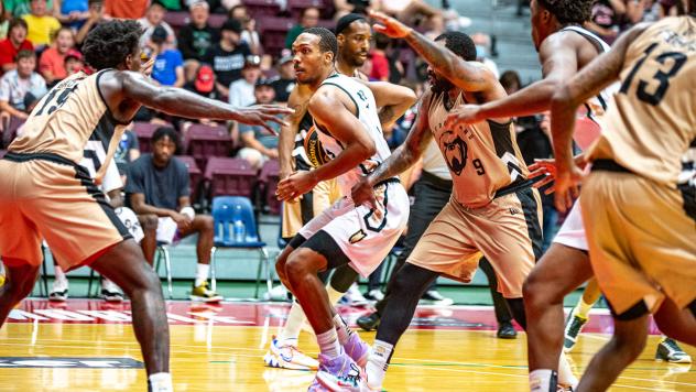 Saskatchewan Rattlers handle the ball against the Newfoundland Growlers