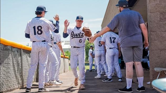 Northern Colorado Owlz infielder Tim Bouchard receives high fives from his teammates