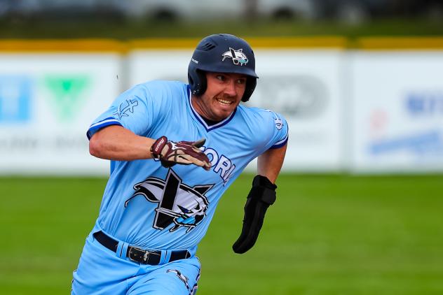 Victoria HarbourCats in action
